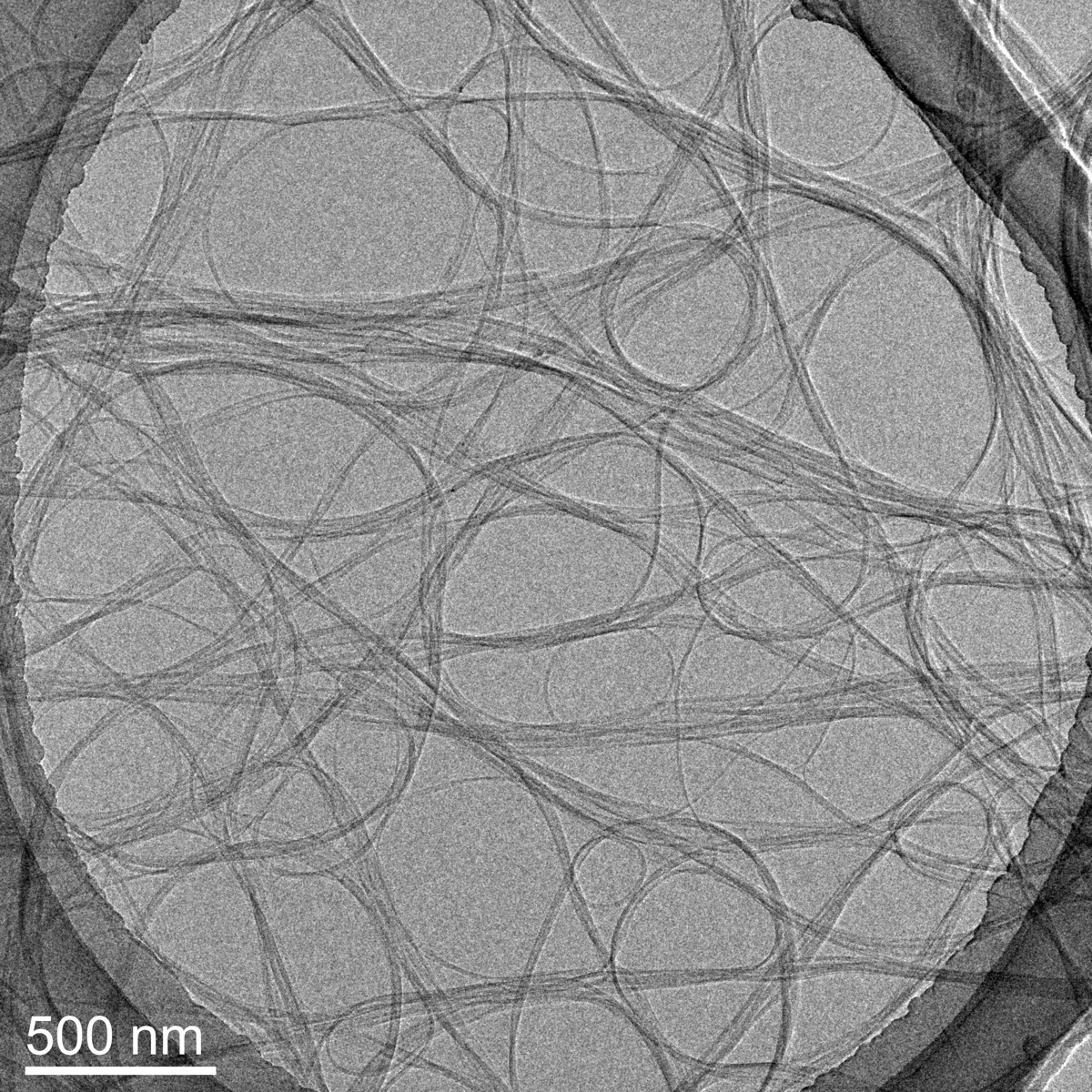 TEM 500nm